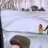 Паустовский теплый хлеб
