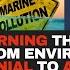 Turning The Tide From Environmental Denial To Action