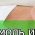 Восковая моль излечивает от многих недугов
