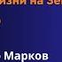 Эволюция биоразнообразия Жизнь в ордовике