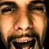 RAMMSTEIN Du Hast Versión FLAMENCO