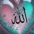 Muhammad Nabina Naat Palestine Ki Naat