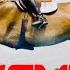 КОННЫЙ СПОРТ КЛИП Equestrian Sport Horse Jumping Music Video Dressage Music Video Equestrian Video