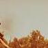 Red Dead Redemption 2 You Can Be An Undead Creature But A Monster Remains A Monster