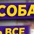 Развод и раздел имущества 3 способа потерять все
