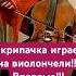 Скрипачка играет на Виолончели Полет Шмеля Учу как быстро выучить