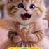 APT By Cat Must Listen Apt Cat Catsinging