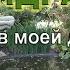 Халстерский дендрарий Сад из легенды