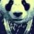 Lefa PANDA REMIX