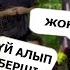 ТУСА ННН нен көмек сурады Азафаза Упучук Киіз Үйде тұрады