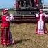 Поздравляем хлеборобов Кричевщины