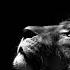 Rolling Lion Studio Rightful Ruler Jamie Bostron S Dub It Mix Dub 140 Stepper Free