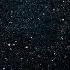 Star Shopping Speed Up