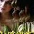 Белые Тюльпаны Sevenrose
