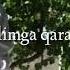 Xamdam Sobirov Text Version Holimga Qara FANm1R