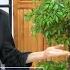 Talıb Tale Və Zeynəb Həsəni Necə Darıxmışam Birə Bir