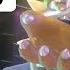 Super Mario 3D World ENDING FINAL BOSS World 8 Castle World Bowser Castle Wii U 1080p HD