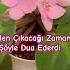 Dua Trending Amerikadabirturk Viralvideo Shorts Short Shortsvideo Shortvideo Islam Paylaş
