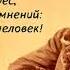 А Дементьев Прощеное воскресенье
