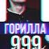 140 BPM CUP RYTP