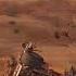 Crossout Бот невидимка