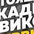 Аркадий Новиков миллиарды в деталях Колбасный цех Ресторатор Аркадий Новиков про колбасу и бизнес