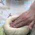 PandaSakha Dumplings пельмени Pandasakha PandaSakha Short
