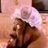Tina Turner Ft Barry White Wildest Dreams Official Clip Uncensored