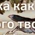 Инфобеседа Сказка как жанр народного творчества