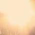 Adele Hello TRXDLeroy Sanchez Remix MN Release