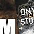 We Need To Talk About Onyx Storm A Balanced Review