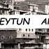 Музыка для души гитара ZEYTUN ARTURO Древний Зейтун явление божией матери