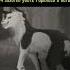 Ты НеПрОйДёШь время книги эдит Warriorcats