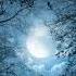 Meditation Music Silent Track Music Sample 1