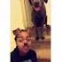 Try Not To Laugh Or Grin While Watching Funny Kids Vines Best Viners 2021
