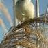 болотная камышовка Acrocephalus Palustris