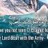 SURA AL FIL QURAN 105 Quran Quranrecitation Mishary Nature Beautifulrecitation Allah