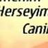 Sevgi Videosu