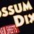 Possum Dixon Holding Lenny S Song