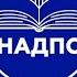 Психологическое консультирование и психологическая диагностика личности
