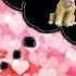 Skace Love Story Just A Dream Skye The Flying Puppy