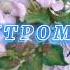 С добрым утром субботы