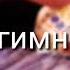 Утро гимнастки что за магия