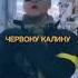 Ой у лузі червона калина