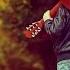 BEAUTIFUL GUITAR ACOUSTIC Top Guitar Relaxing Music Best Guitar Romantic Love Songs 80s 90s