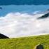 HEAVEN ON EARTH KASHMIR Kashmir Valley Viral Kashmiri Pahalgham Gulmarg Sonamarg Kashmirvalley Valey