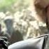 Official Trailer Kurmanjan Datka Queen Of The Mountains ORIGINAL