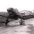 Ju 87 Stuka Siren Shorts