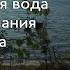 Прибывающая вода 1 2 и 3 неделя Медитация Джо Диспенза Сила подсознания аюмедитэйшн