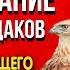 Настоящее Предсказание Виталий Сундаков Великий дар Основы будущего